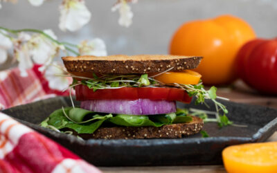 The Ultimate Fresh Veggie Sandwich!